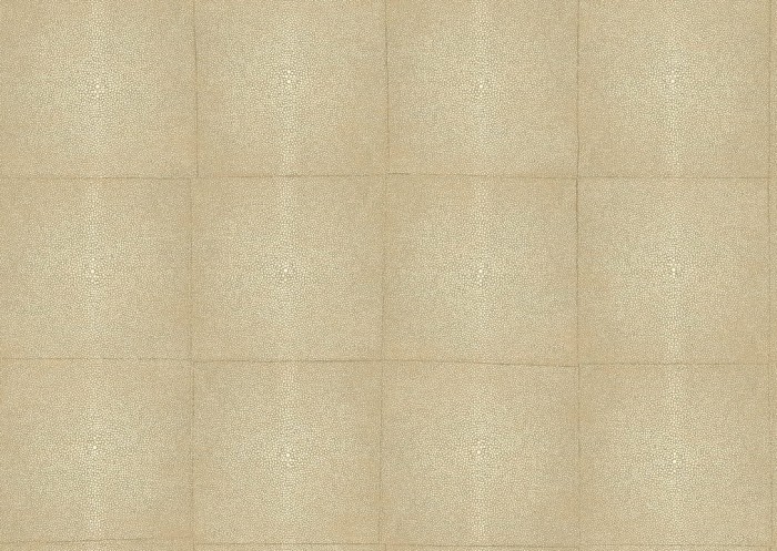 icons-shagreen-85520-packshot.jpg