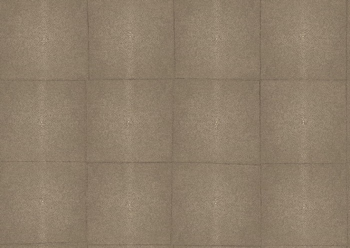 icons-shagreen-85521-packshot.jpg