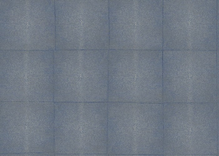 icons-shagreen-85523-packshot.jpg