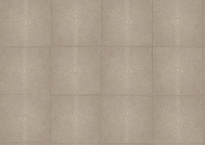 icons-shagreen-85524-packshot.jpg