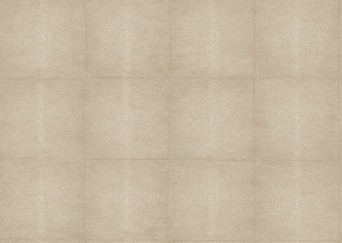 icons-shagreen-85525-packshot.jpg