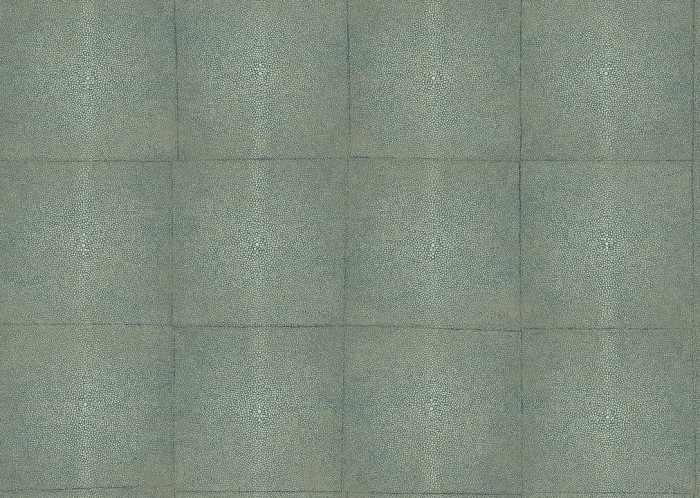 icons-shagreen-85526-packshot.jpg