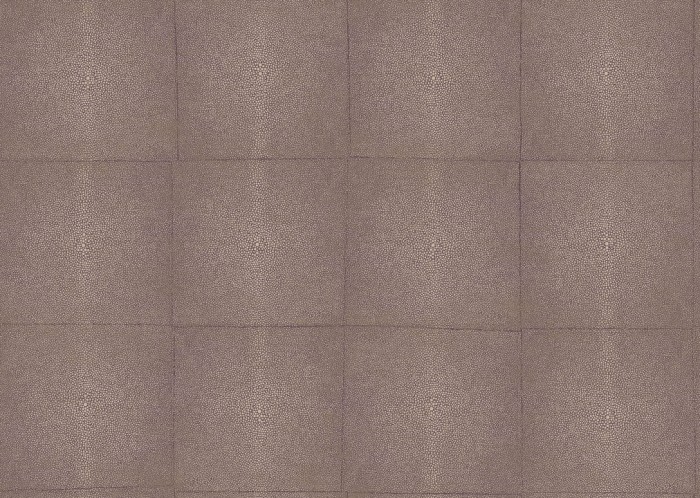 icons-shagreen-85527-packshot.jpg