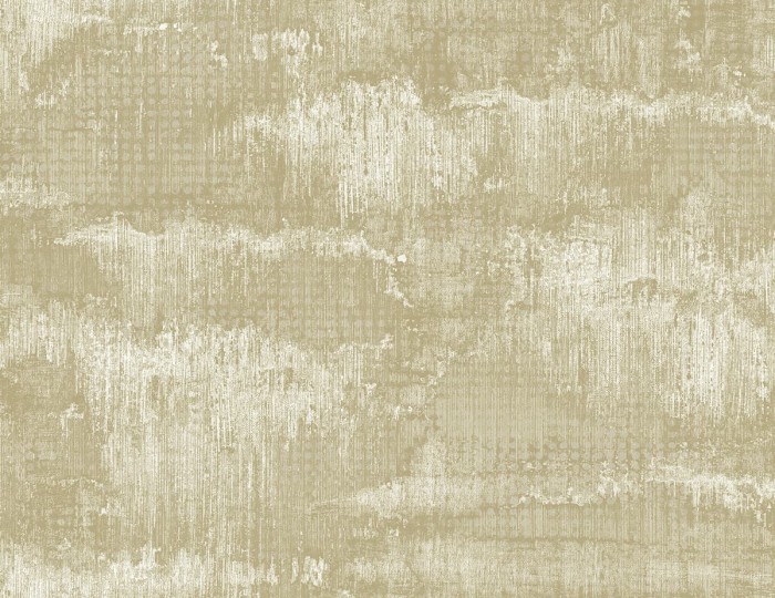 cr60205.jpg