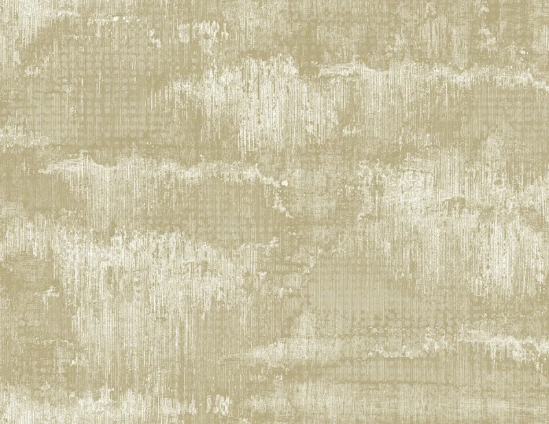 cr60205.jpg