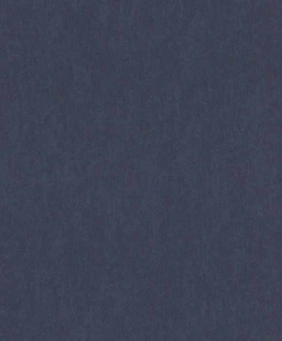 293707.jpg
