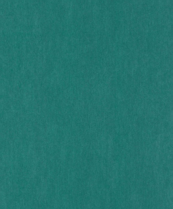 293776.jpg