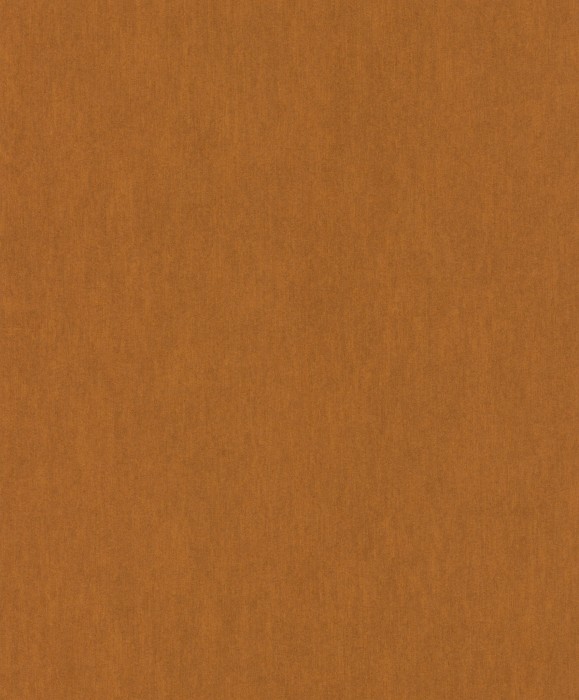 293721.jpg