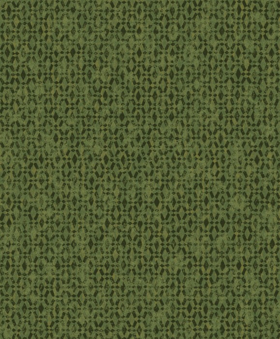 HAV502.jpg