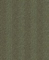 ILA601.jpg