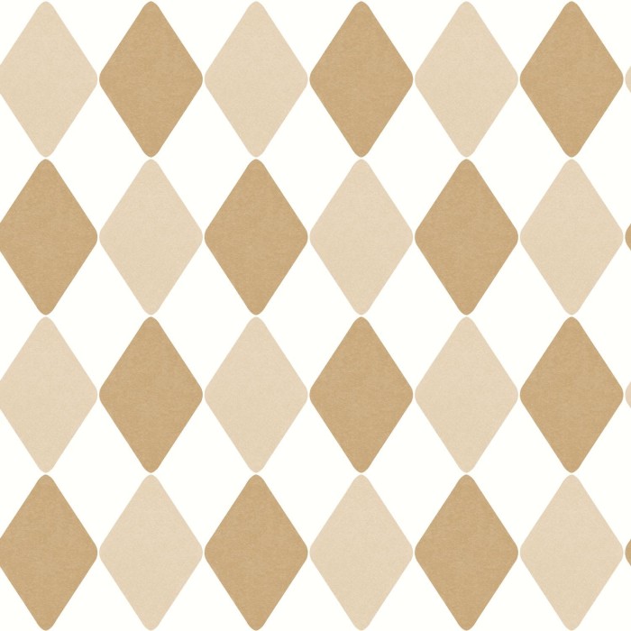 CASELIO_103572010.jpg