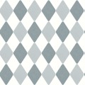 CASELIO_103576066.jpg