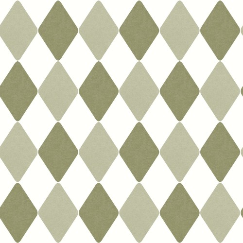 CASELIO_103577307.jpg