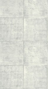 CASELIO_103319000.1.jpg