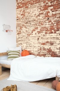 CASELIO_YNF_POETIC-WALL_ROUGE-103438203.jpg