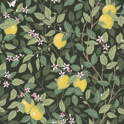 5701_Citrontrad_Closeup.jpg