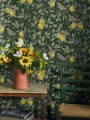 5701_Citronträd_Roomshot_2.jpg
