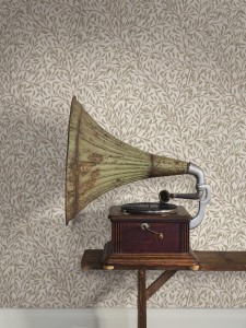 5705_Olivträd_Roomshot_2.jpg