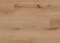 Screenshot 2025-03-19 at 11.51.54.png