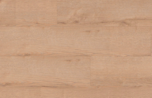 Screenshot 2025-03-19 at 12.06.05.png