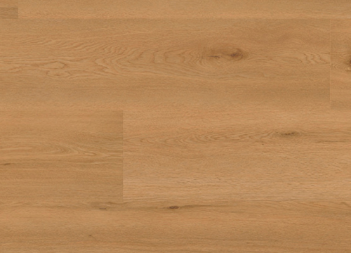 Screenshot 2025-03-19 at 13.38.23.png