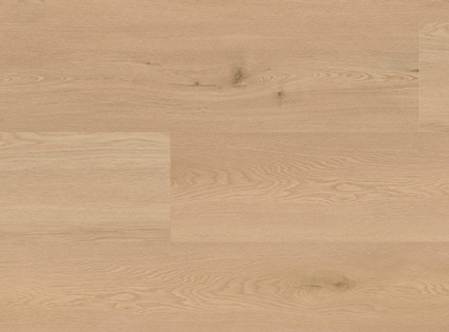 Screenshot 2025-03-19 at 13.46.24.png