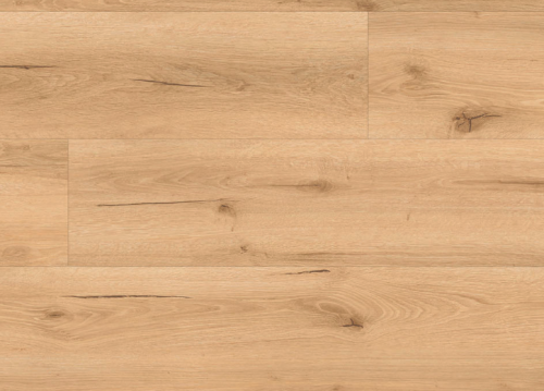 Screenshot 2025-03-19 at 14.00.17.png