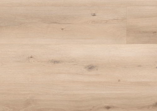 Screenshot 2025-03-19 at 14.11.17.png