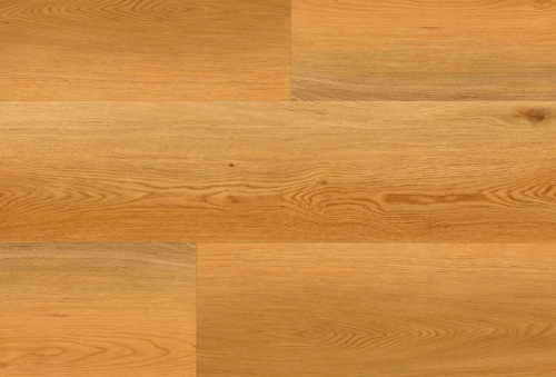 Screenshot 2025-03-19 at 14.12.43.png