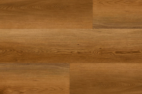 Screenshot 2025-03-19 at 14.21.00.png