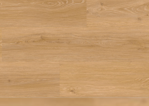 Screenshot 2025-03-19 at 14.35.01.png