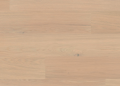 Screenshot 2025-03-20 at 14.17.14.png