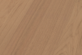 Screenshot 2025-03-20 at 14.50.08.png