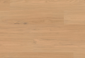 Screenshot 2025-03-20 at 15.13.24.png
