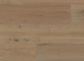 Screenshot 2025-03-26 at 10.51.52.png