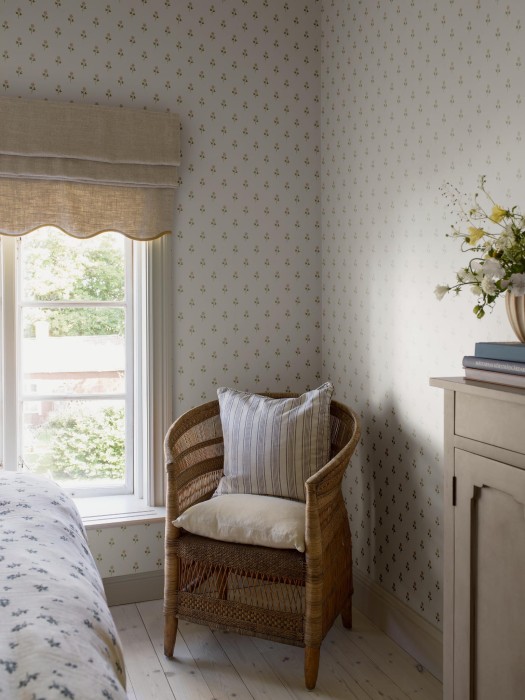 6973_Anemone_Roomshot_1.jpg