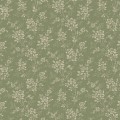 1182_HipRose_Closeup.jpg