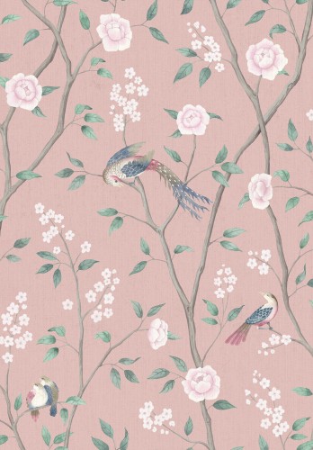 1901_ParadiseBirds_Closeup.jpg