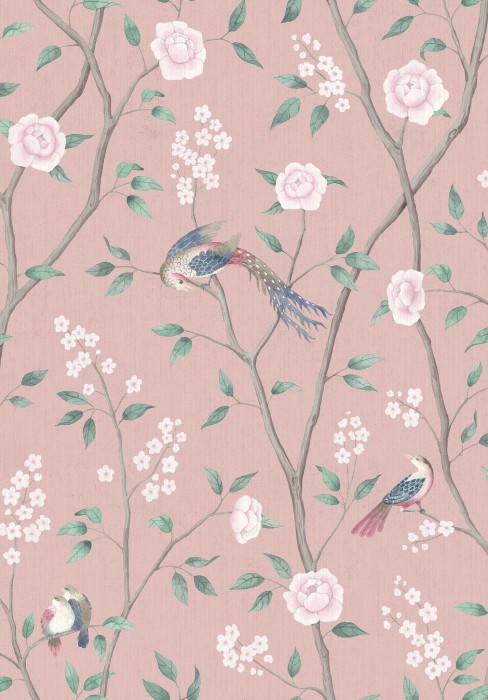 1901_ParadiseBirds_Closeup.jpg