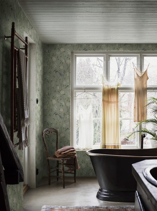 1903_ParadiseBirds_Roomshot_1_PR.jpg
