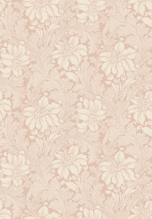 2009_Acanthus_Closeup.jpg