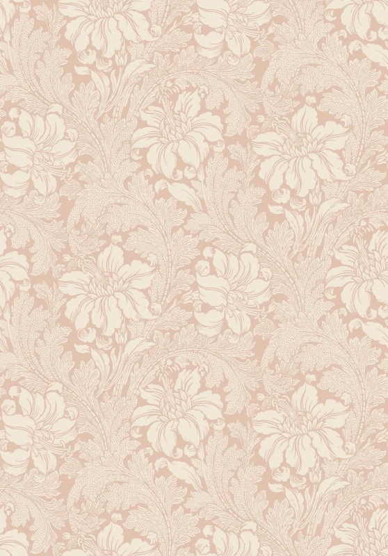 2009_Acanthus_Closeup.jpg