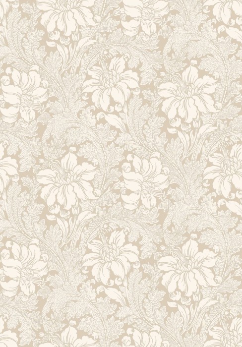 2011_Acanthus_Closeup.jpg