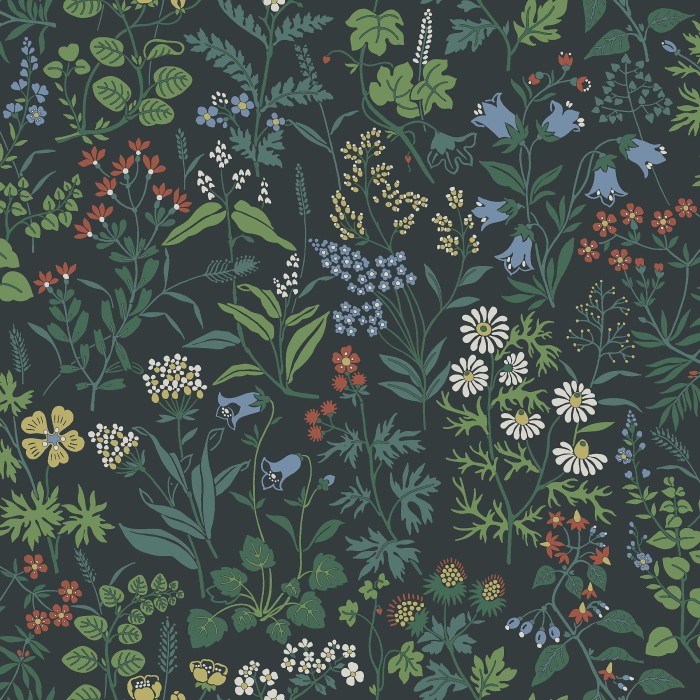4181_Flora_Closeup.jpg