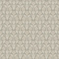 4586_Nora_Closeup.jpg