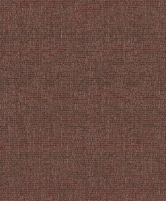 romance_lusus_ROM404.jpg