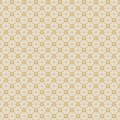 8066_Stella_CloseUp.jpg