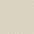 8068_Stella_CloseUp.jpg