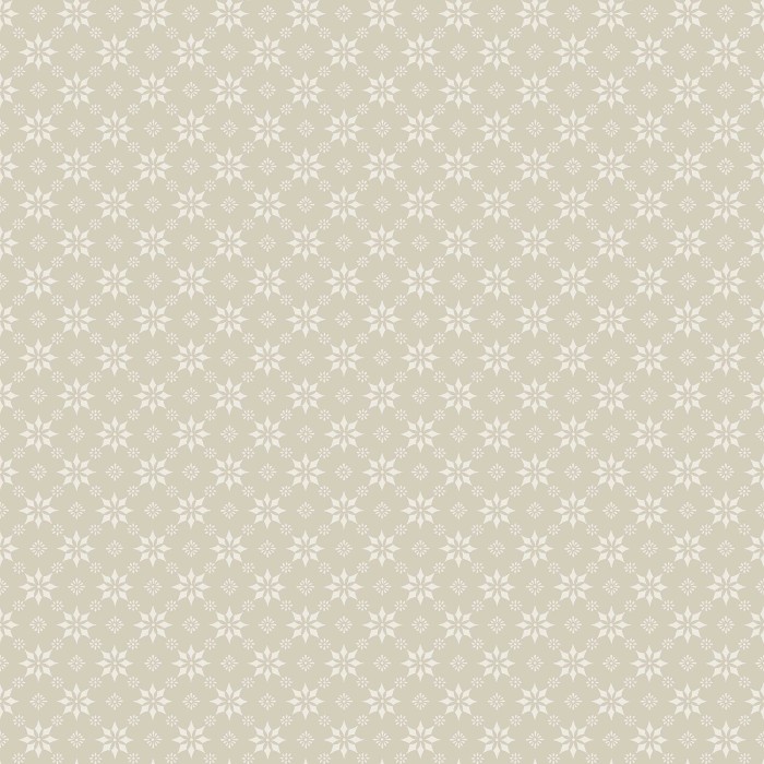 8068_Stella_CloseUp.jpg
