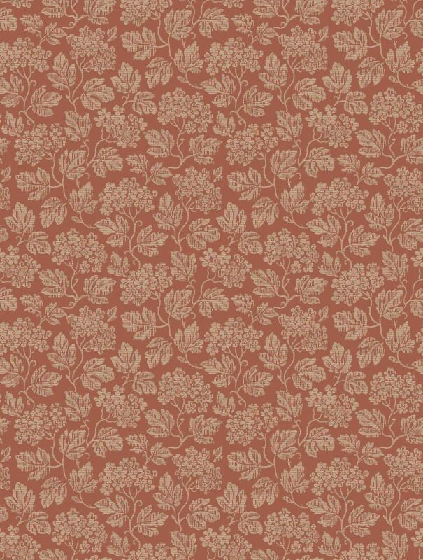 8081_Hagtorn_CloseUp.jpg